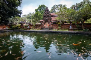 Ubud temple, koi, eau sacrée