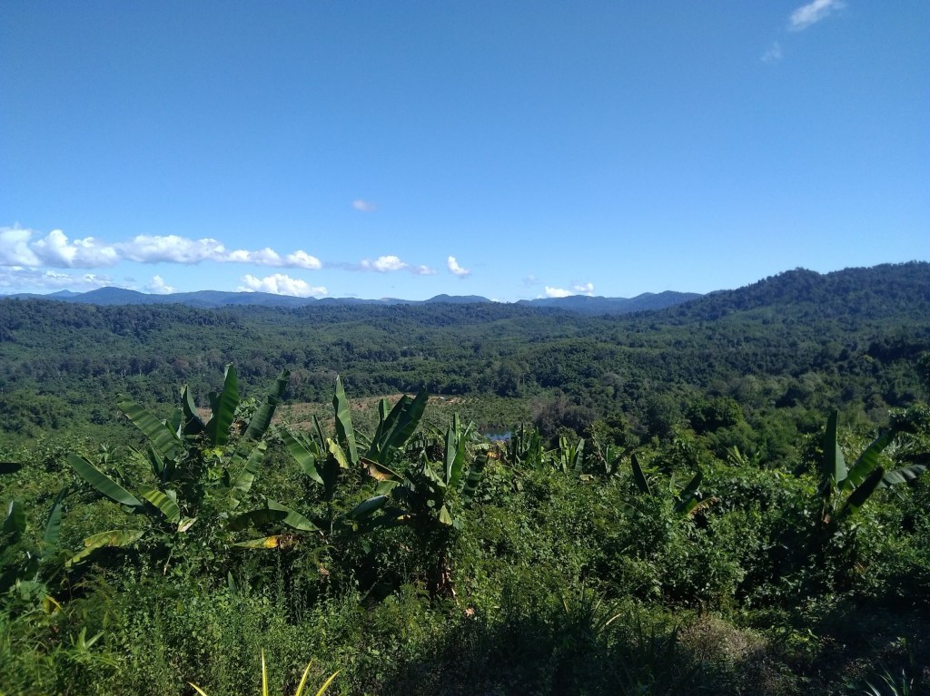 Direction la jungle&nbsp;cambodgienne!