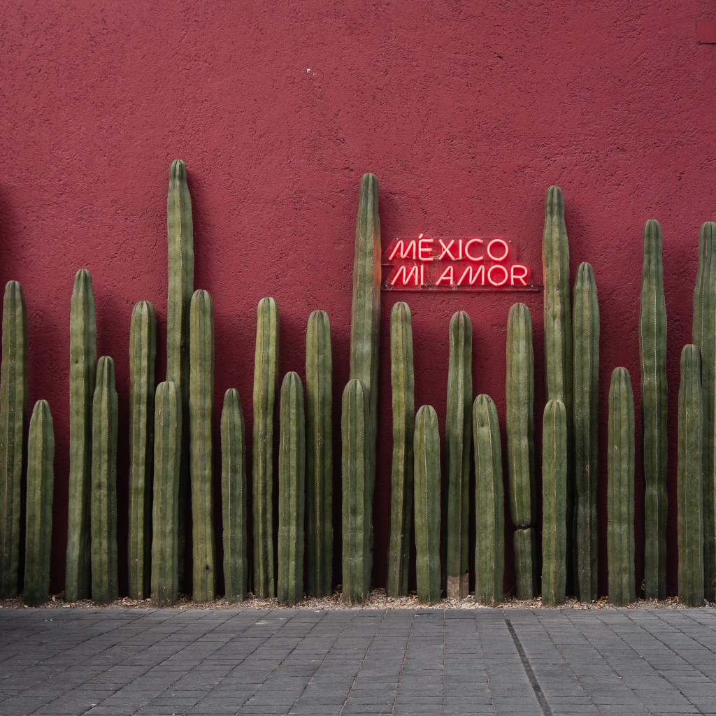 10 jours dans une des plus grandes villes au&nbsp;monde