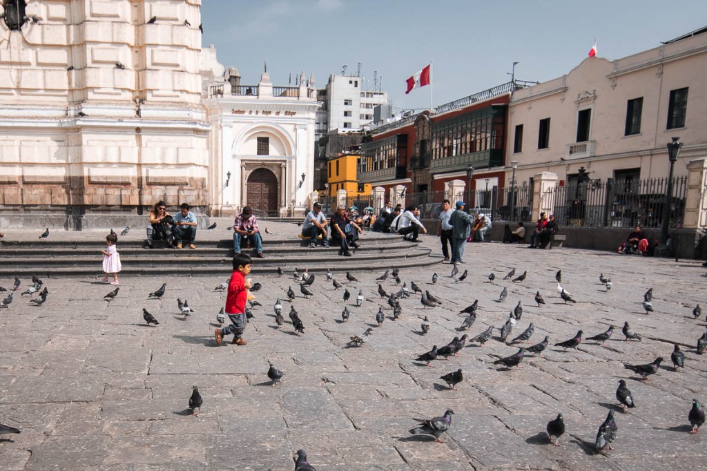 5 jours au pays des&nbsp;llamas!