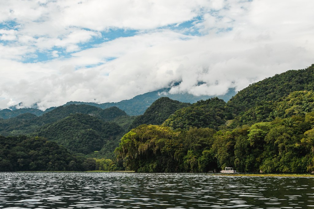 Première semaine en&nbsp;solo