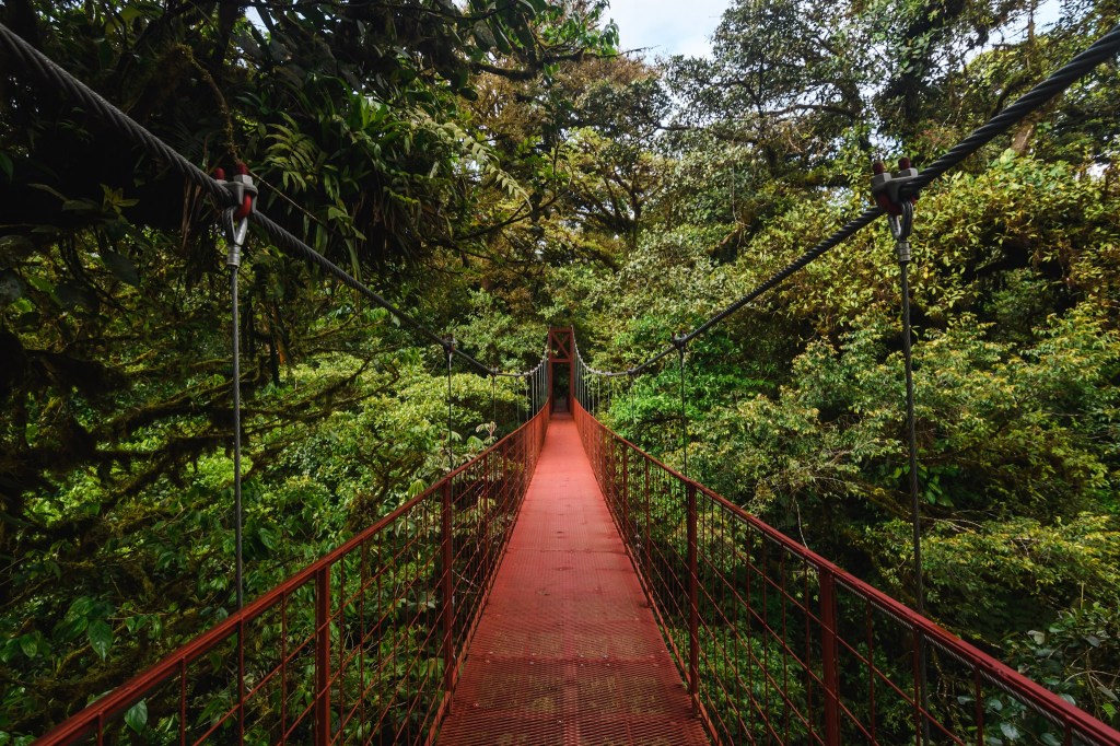Pura vida au Costa&nbsp;Rica