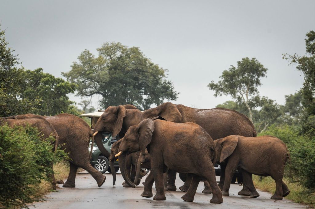 À la découverte du reste de l&rsquo;Afrique du&nbsp;Sud.