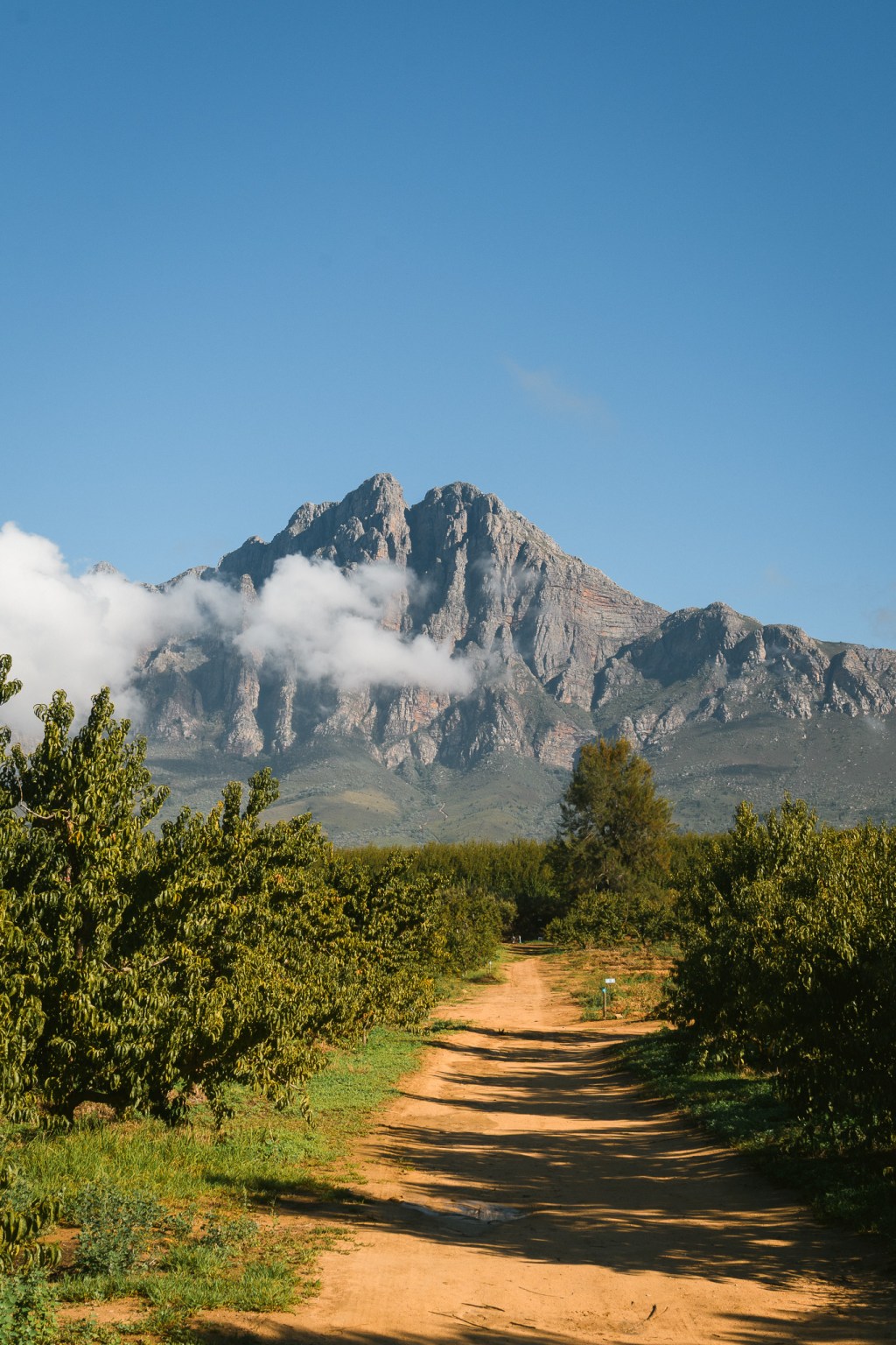 Week-end à Tulbagh : vignobles, montagnes et calme à 1h30 de Cape&nbsp;Town
