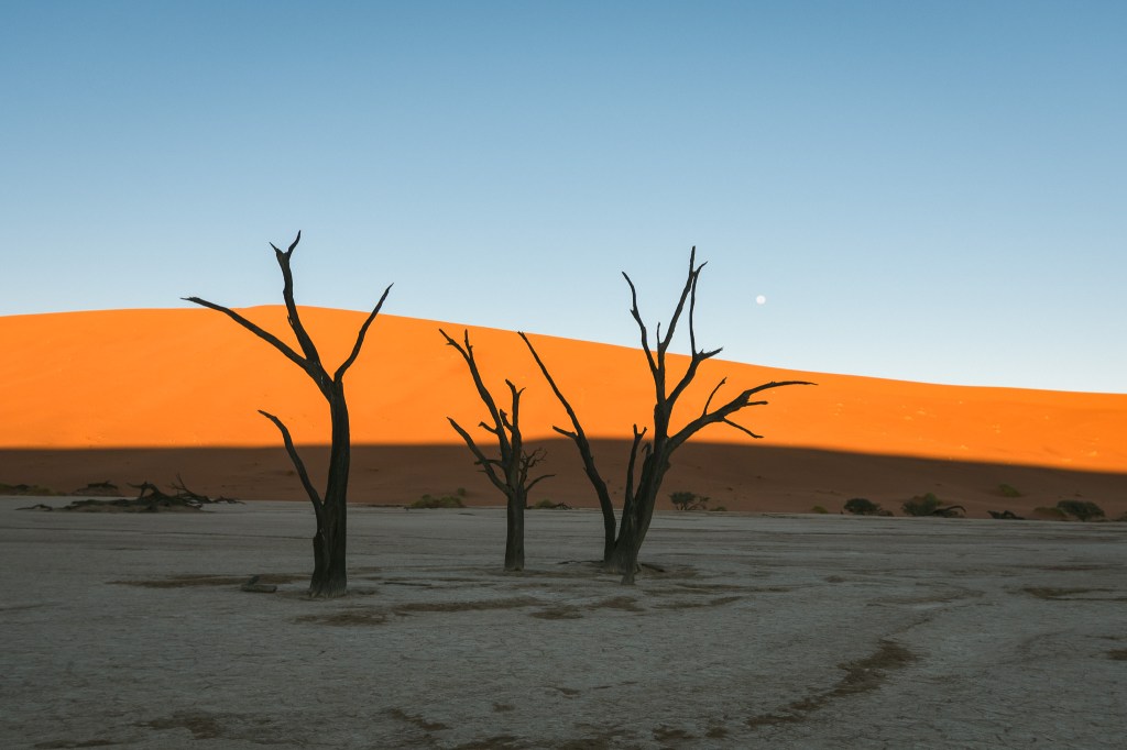 Namibie : le sud à trois&nbsp;🌵